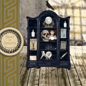 Cabinet of Curiosities - A Printable Junk Journal Craft Kit Cricut Project