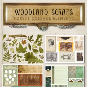 Ritagli di bosco e foglie Forest Collage Elements, Stampabile Junk Journal Ephemera, Victorian Woodland Journal, Forniture per riviste digitali