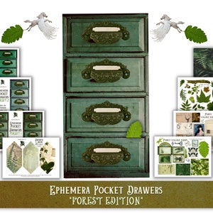 FOREST EPHEMERA Pocket Drawers Junk Journal Insert Woodland Scrapbooking laden die open journal meubelkaart het maken van craft kit tutorial