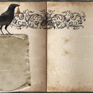 May include: An open book with a black crow perched on the left page. The crow is holding a gold tassel in its beak. The pages are aged and have a distressed look. The book is decorated with a black and white floral design.