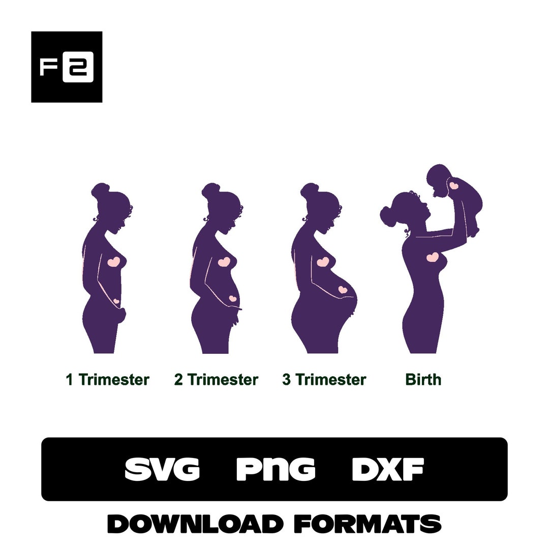Trimester Vector Trimester Svg Trimester Pregnant Women Etsy Australia