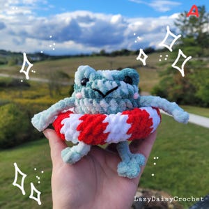 May include: A handmade crochet frog in shades of blue and green, wearing a red and white striped floatation ring. The frog has black eyes and is smiling. The background shows a green field and a cloudy blue sky.