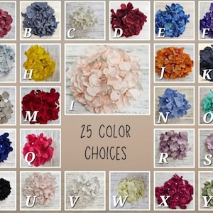 Puede incluir: Una tabla de 25 colores diferentes de cabezas de flores de hortensia artificiales. Los colores incluyen rojo, azul, verde, amarillo, blanco, rosa, morado y gris. 25 COLOR CHOICES est&aacute; escrito en el centro de la tabla.
