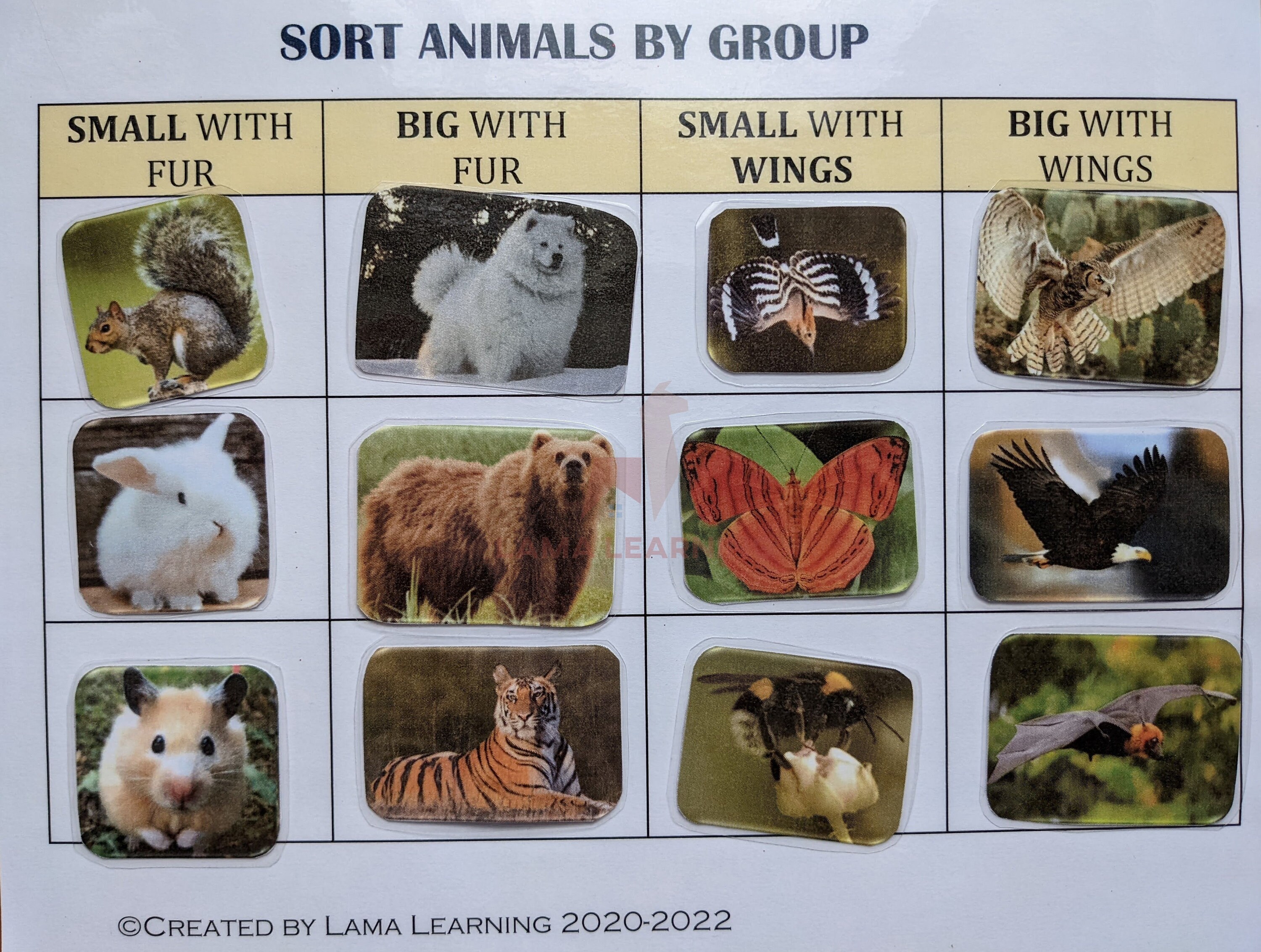 Learning About Sizes: Big & Small Animal Match – SupplyMe