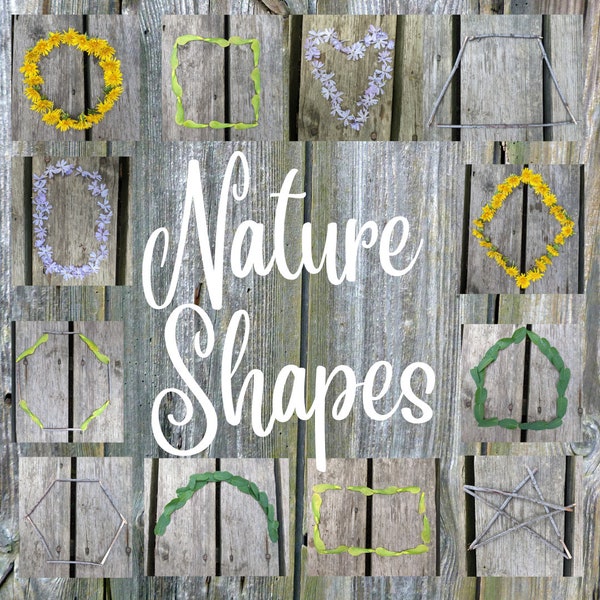 Nature shapes Flashcards, Kindergarten Cards, Montessori Nature Cards, Learning Shapes, Forest School Learning Materials, Toddlers, Pre-K