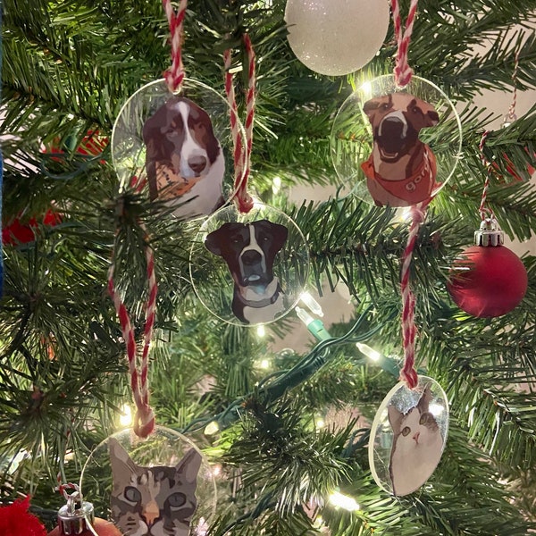 Custom Personalized Pet Ornament