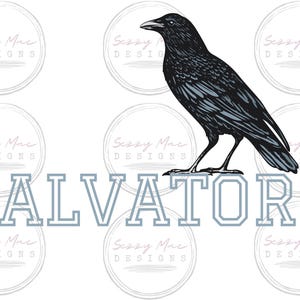 Gothic Crow - Gothic png - Crow png - Commercial Use - Pngtuber - Png tuber - Png files - Digital png - Popular png - Tshirt png - Hoodie
