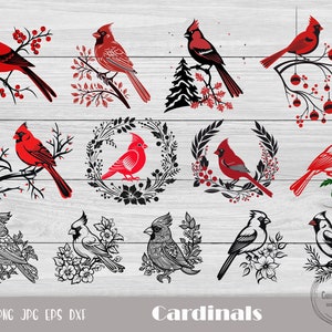 Kardinal Vogel SVG, Kardinal Png, Kardinal Ornament, Kardinal Ornament, Kardinal Maskottchen, Kardinal Clipart, Kardinal Ornament