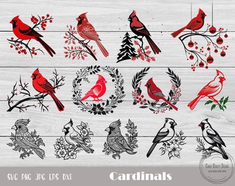 Cardinal Bird Svg, Cardinal Png, Cardinal Svg, Cardinals Cut File, Remembrance Svg, Cardinal Ornament, Cardinals Mascot, Cardinal Clipart