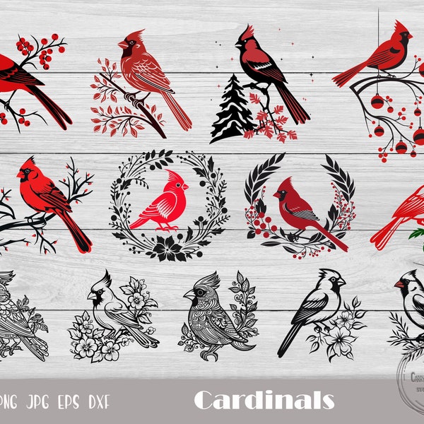 Cardinal Bird Svg, Cardinal Png, Cardinal Svg, Cardinals Cut File, Remembrance Svg, Cardinal Ornament, Cardinals Mascot, Cardinal Clipart
