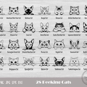 A-z Cat Breeds, Cat Kitten Face Head, Cat Breeds Svg, Cute Peeking Cat, Cat Face Svg, Svg Cat Peeking, Cat Head Svg, Peeking Cat Svg