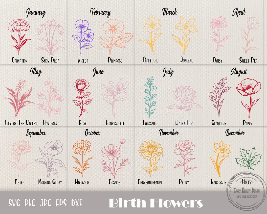 24 Birth Flowers Svg, Birth Month Flower, Birth Flower Tattoo, Birth ...