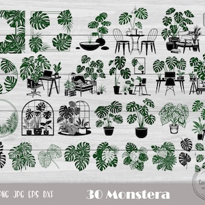 Monstera Leaf Svg, Monstera Svg, Tropical Leaves Svg, Botanical Svg, Greenery Svg, Palm Leaves, Tropical Leaf Svg, Jungle Leaves Svg