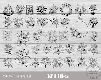 May include: A set of 37 black and white lily flower illustrations in various styles and arrangements. The illustrations include wreaths, hearts, circles, squares, and individual flowers. The text "37 Lilies" is at the bottom of the image.