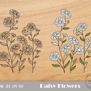 Daisy Flower Svg, Daisies Svg, Flowers Svg, Daisy Svg, Blossom Svg, Botanical Svg, Summer Svg, Daisy Clip Art, Instant Download