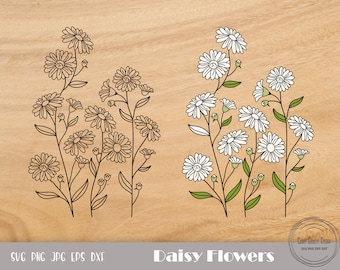 Daisy Flower Svg, Daisies Svg, Flowers Svg, Daisy Svg, Blossom Svg, Botanical Svg, Summer Svg, Daisy Clip Art, Instant Download