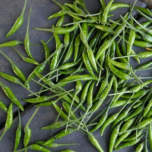 May include: A close-up image of a pile of green chili peppers. The peppers are all fresh and have a bright green color. They are arranged in a random pattern on a dark gray surface.