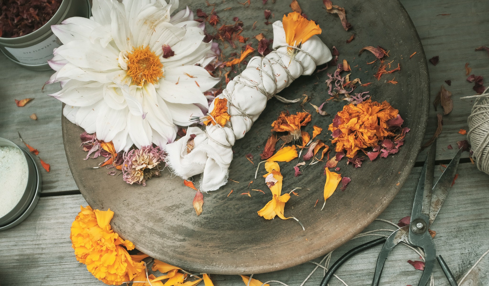 Botanical Dye Kit Video Etsy