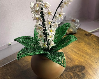 Mixed Lilly of the Valley Seed Bead Plant