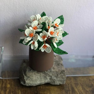 Seed Bead Begonia Plant: White Flowers in Rustic Vase
