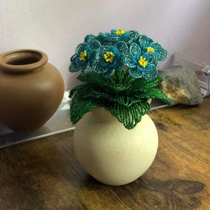 Blue Primrose Seed Bead Plant