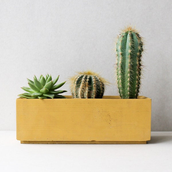 Jardinière en béton jaune terre cuite | Cache-pot minimaliste | Jardinière de plantes succulentes | Cache-pot rectangulaire | Cache-pot pour jardinière