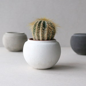 White ball concrete planter pot | Sphere minimalistic concrete planter | Succulent plant pot | Gardening gift