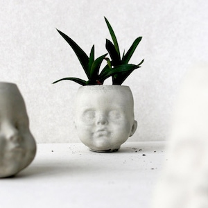 Concrete head planter, Cute face plant pot - unique holiday gift for plant lover.