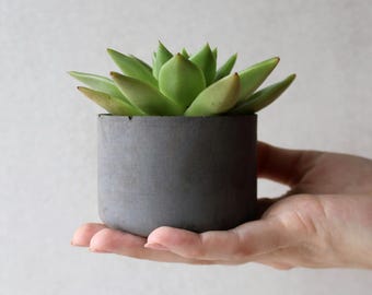 3 Inch Concrete Succulent Planter with Drainage, Modern Handcrafted Cement Cactus Pot, Small Indoor Plant Pot in 4 Colors, Home Decor Gift