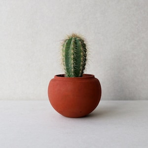 Terracotta red concrete planter pot | Sphere minimalistic concrete planter | Succulent plant pot | Gardening gift