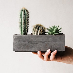 Donkergrijze betonnen plantenbak | Minimalistische bloempot | Vetplantenbak | Rechthoekige bloempot | Cadeau-idee voor plantenliefhebbers