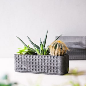 Doted concrete planter box  dark gray polka dot| Minimalist planter pot | Succulent plant planter | Rectangular plant pot | Polka dot
