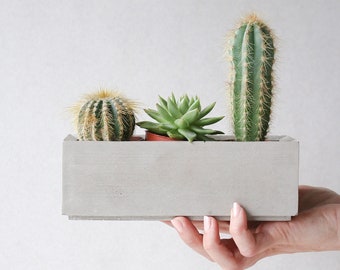 Concrete planter box | Minimalist planter pot | Succulent plant planter | Rectangular plant pot | Plant lovers gift idea | Minimalist plant