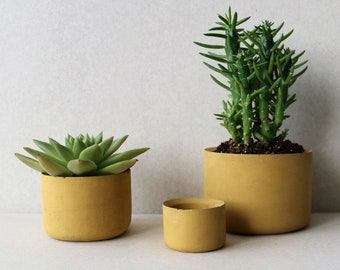 Terracotta yellow Concrete planters in 3 sizes| Round minimalistic concrete planters | Desk organizer