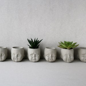 Può includere: Una fila di otto piccoli vasi di cemento a forma di viso umano, di cui due contengono piccole succulente verdi.