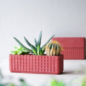 Op de afbeelding: Een rode plantenbak met een getextureerd oppervlak, met drie vetplanten. De plantenbak is rechthoekig en heeft een modern ontwerp.