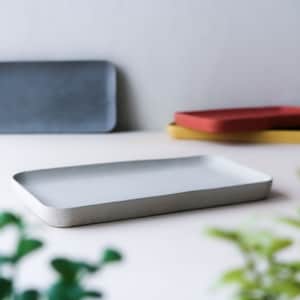 Può includere: Tre vassoi rettangolari in cemento. I vassoi sono di diversi colori: grigio, rosso e giallo. Il vassoio grigio è a fuoco e gli altri due vassoi sono fuori fuoco.