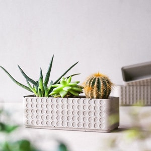 Gestippelde betonnen plantenbak | Minimalistische bloempot | Vetplantenbak | Rechthoekige bloempot | Cadeau-idee voor plantenliefhebbers | Stippen