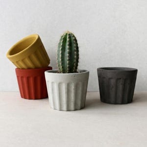 Può includere: Una collezione di piccoli vasi in cemento a coste di vari colori. Un vaso contiene un cactus verde. I vasi sono in tonalità di giallo, rosso, grigio e nero, creando un'estetica moderna e minimalista. Ideale per piccole piante e succulente.