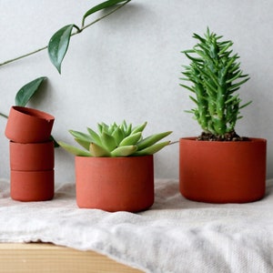 May include: Three terracotta pots containing succulents. The pots are stacked on top of each other. The succulents are green and have a variety of shapes.