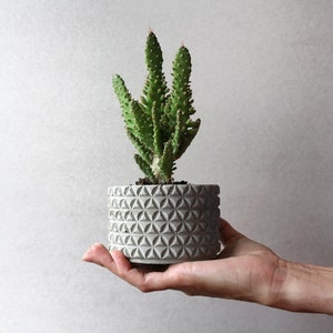 Geometrical concrete planter | Round textured concrete planter | Planter pot | Concrete desk organiser