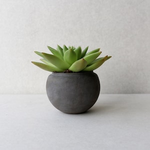 Dark grey concrete plant pot | Sphere minimalistic concrete planter | Succulent plant pot