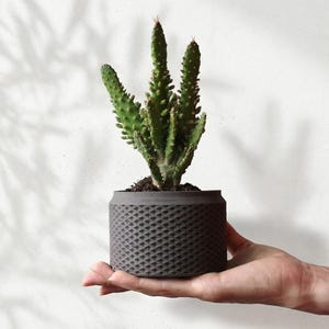 Handgemachter geometrischer Beton-Kaktustopf, grauer Zement-Übertopf für Zimmerpflanzen, strukturierter moderner Blumentopf, Sukkulententopf