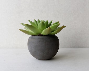 Donkergrijze betonnen plantenbak met bol | Handgemaakte succulente pot