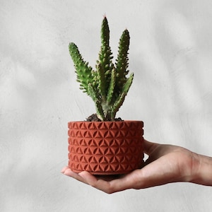 Geometrischer Beton Übertopf für Sukkulenten - Moderner Kaktustopf für Innen - 3D-gemusterter Zementtopf - Minimalistisches Wohndekor Geschenk