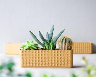 Doted concrete planter box terracotta yellow polka dot| Minimalist planter pot | Succulent plant planter | Rectangular plant pot | Polka dot