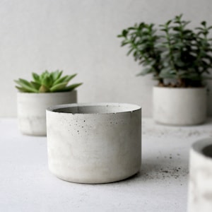 Concrete planter | Round minimalistic concrete planter | Succulent pot