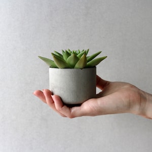 Ronde minimalistische betonnen plantenbak | 3&quot; Betonnen plantenbak | Succulente potkwekerij