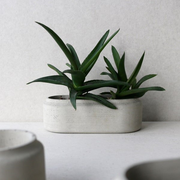 Concrete planter | Oval minimalistic concrete planter | Succulent plant pot