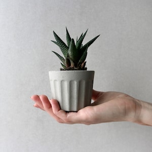 Succulent plant pot | Scandinavian minimalistic concrete planter | Concrete planter